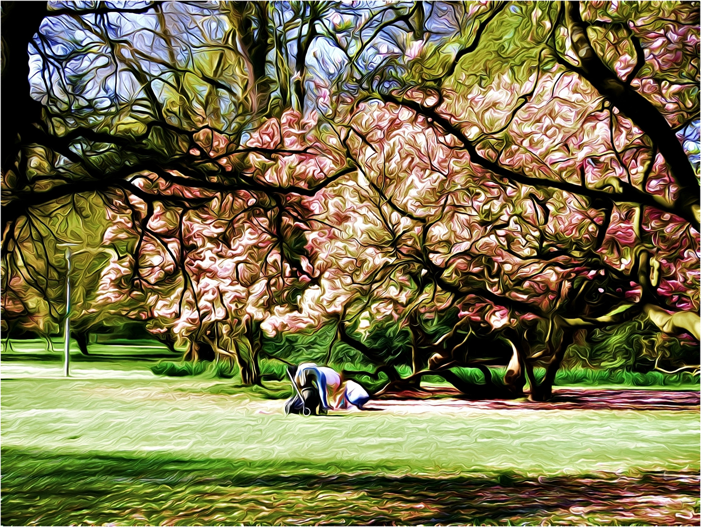 Frühling im Park