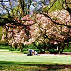 Frühling im Park