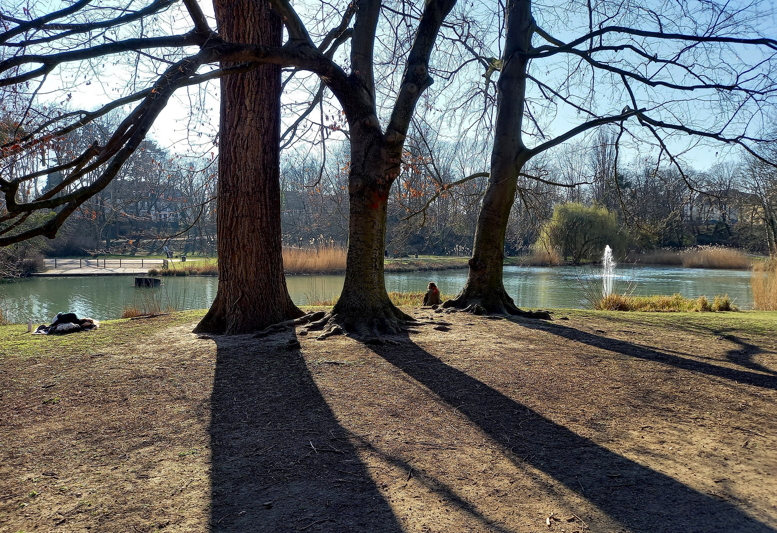 Frühling im Park