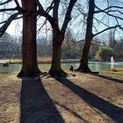 Frühling im Park