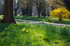 Frühling im Park