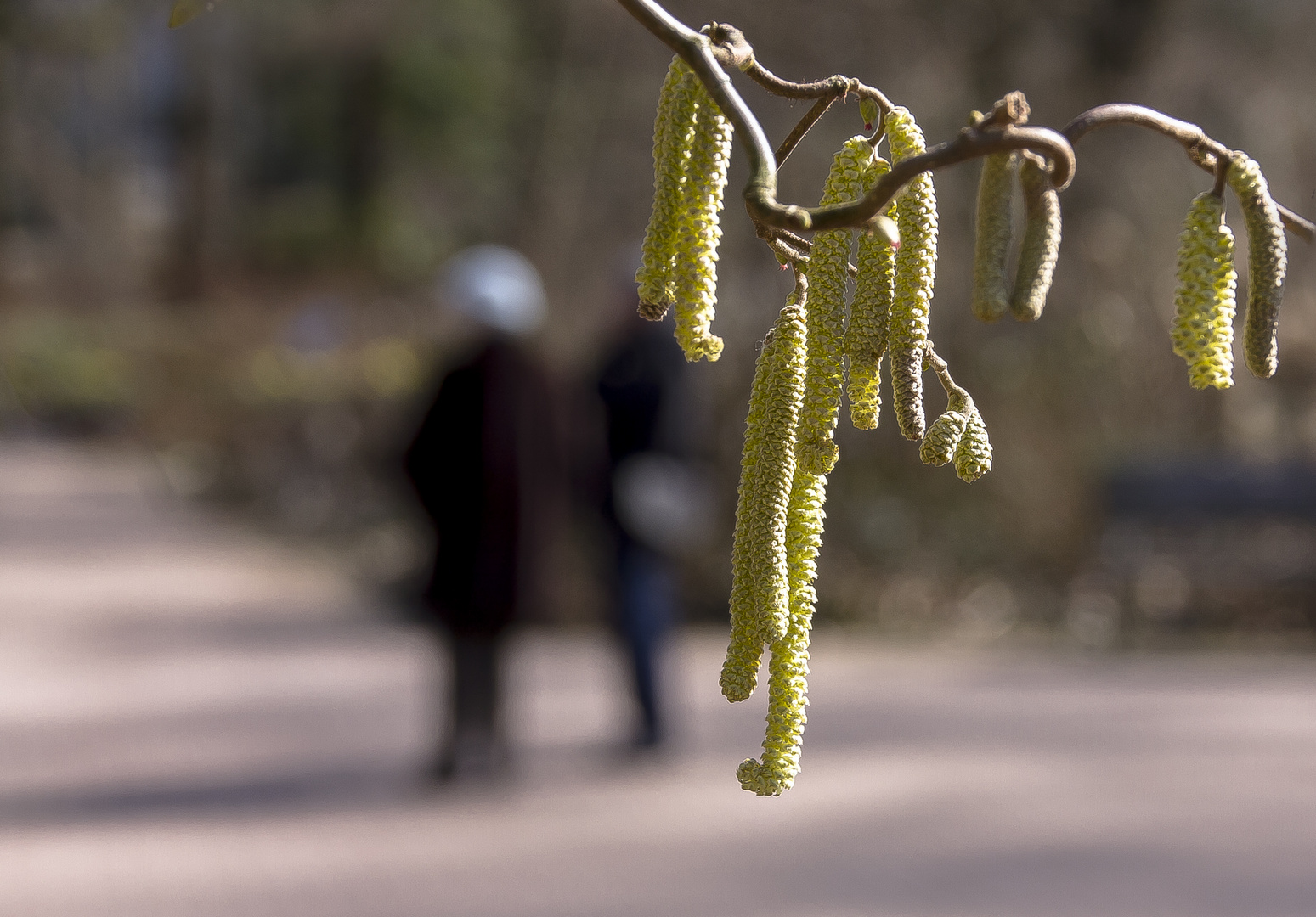 Frühling im Park...