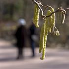 Frühling im Park...