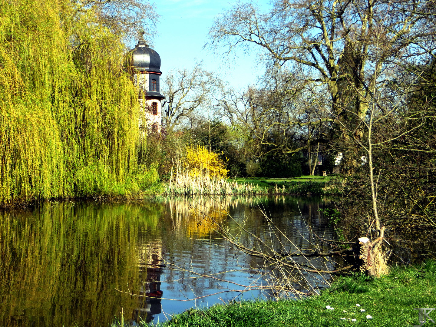 Frühling im Park