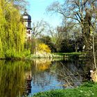 Frühling im Park