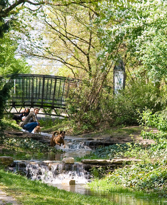 Frühling im Park