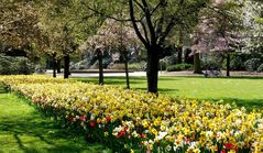 Frühling im Park