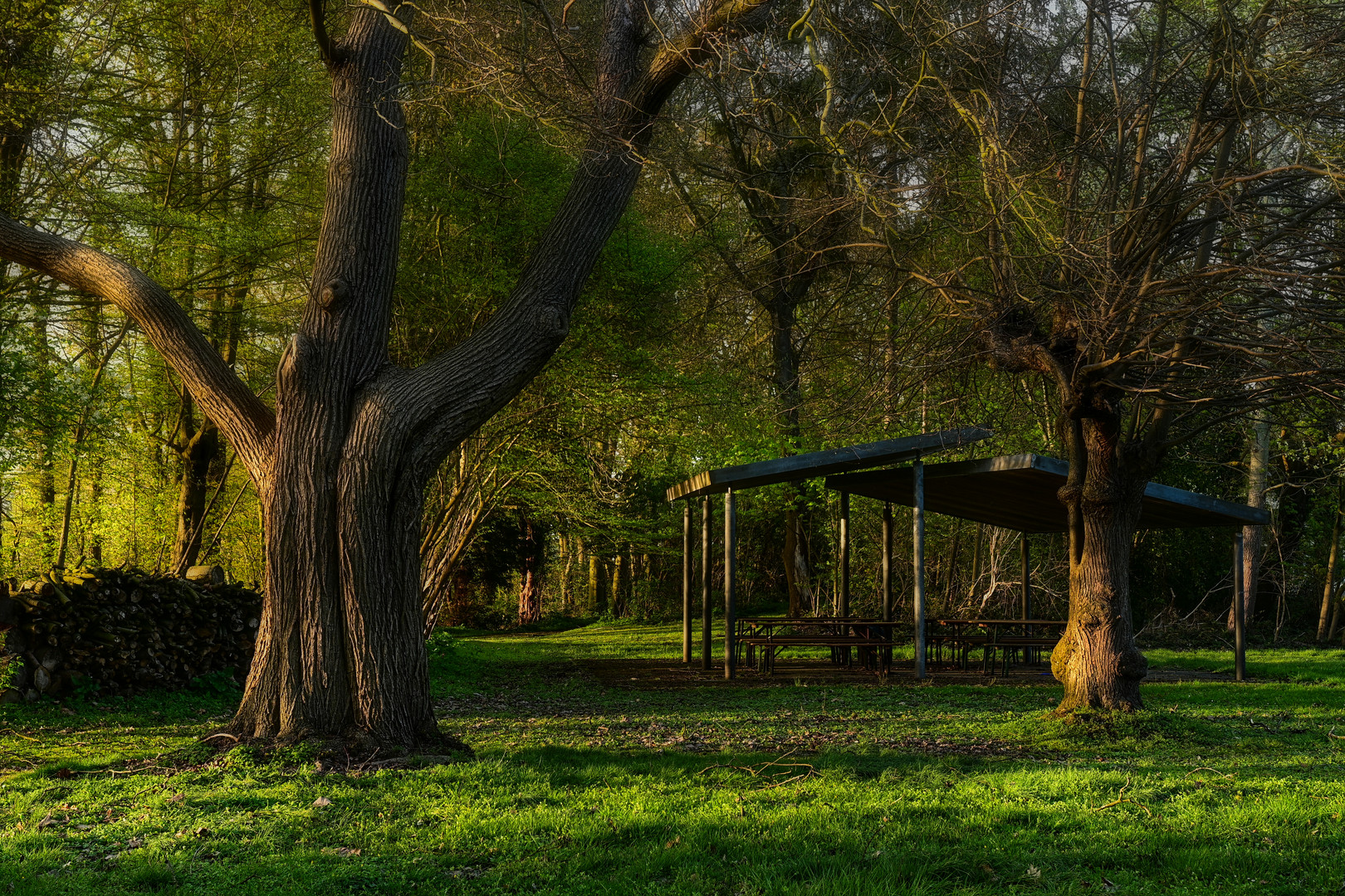 Frühling im Park