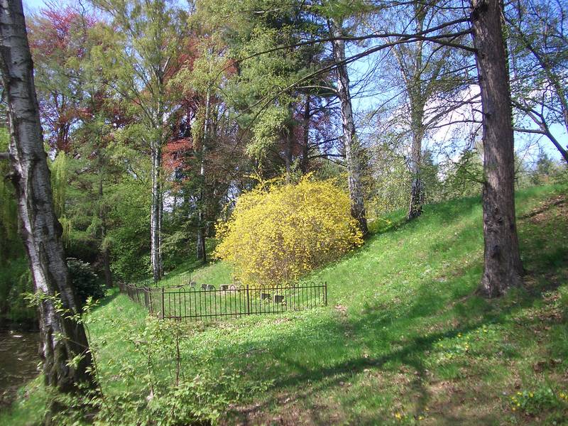 Frühling im Park