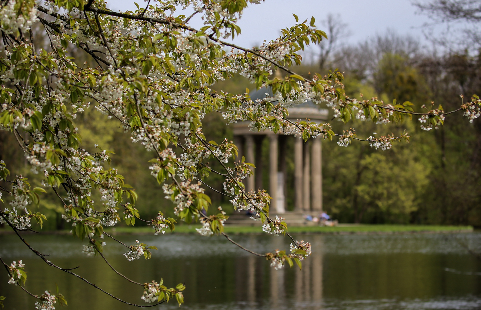 Frühling im Park