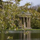 Frühling im Park