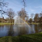 Frühling im Park