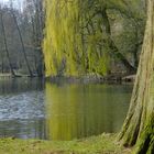 Frühling im Park