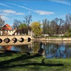 - Frühling im Park -