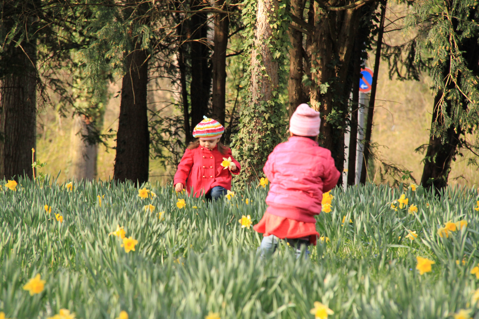 Frühling im Park