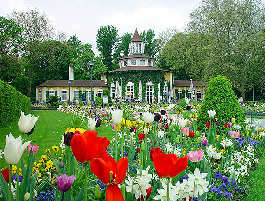 Frühling im Park