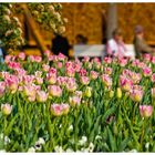 Frühling im Park