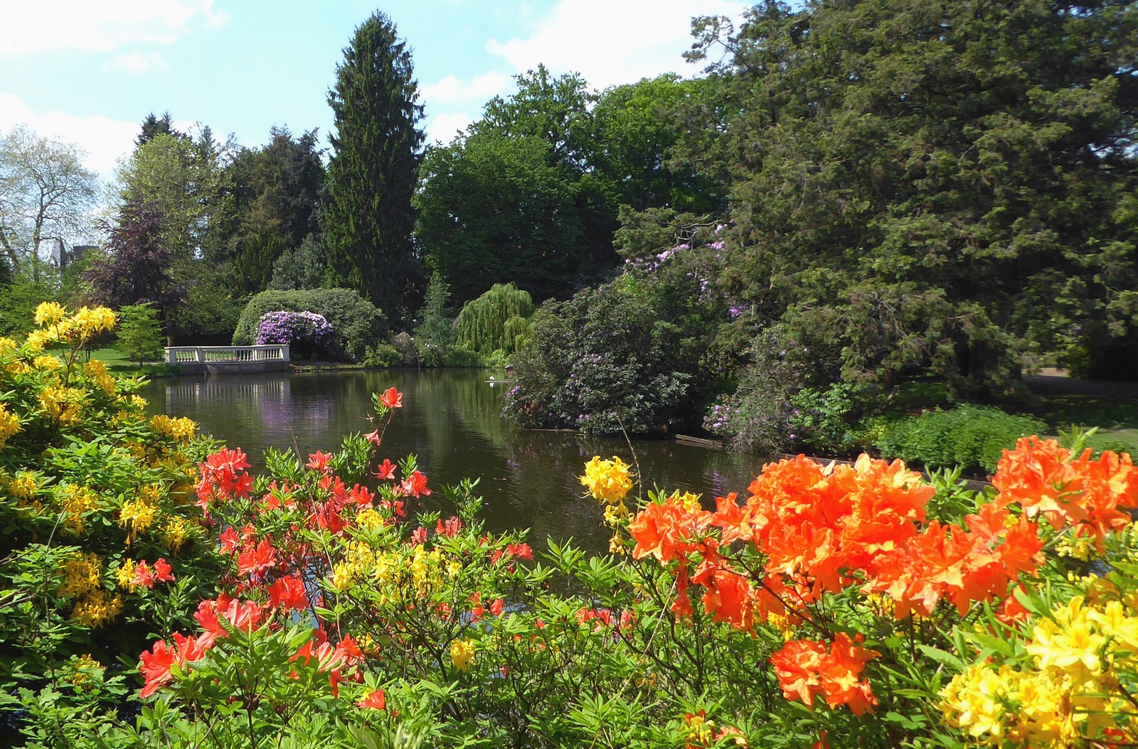 Frühling im Park