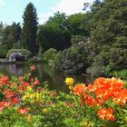 Frühling im Park