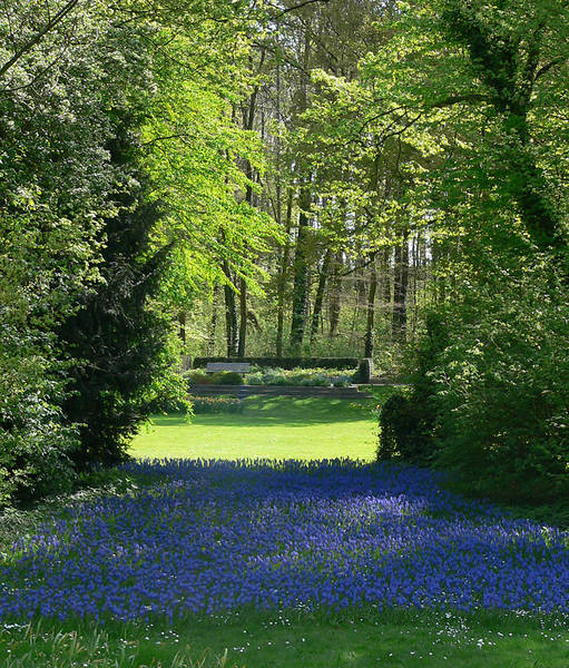 Frühling im Park