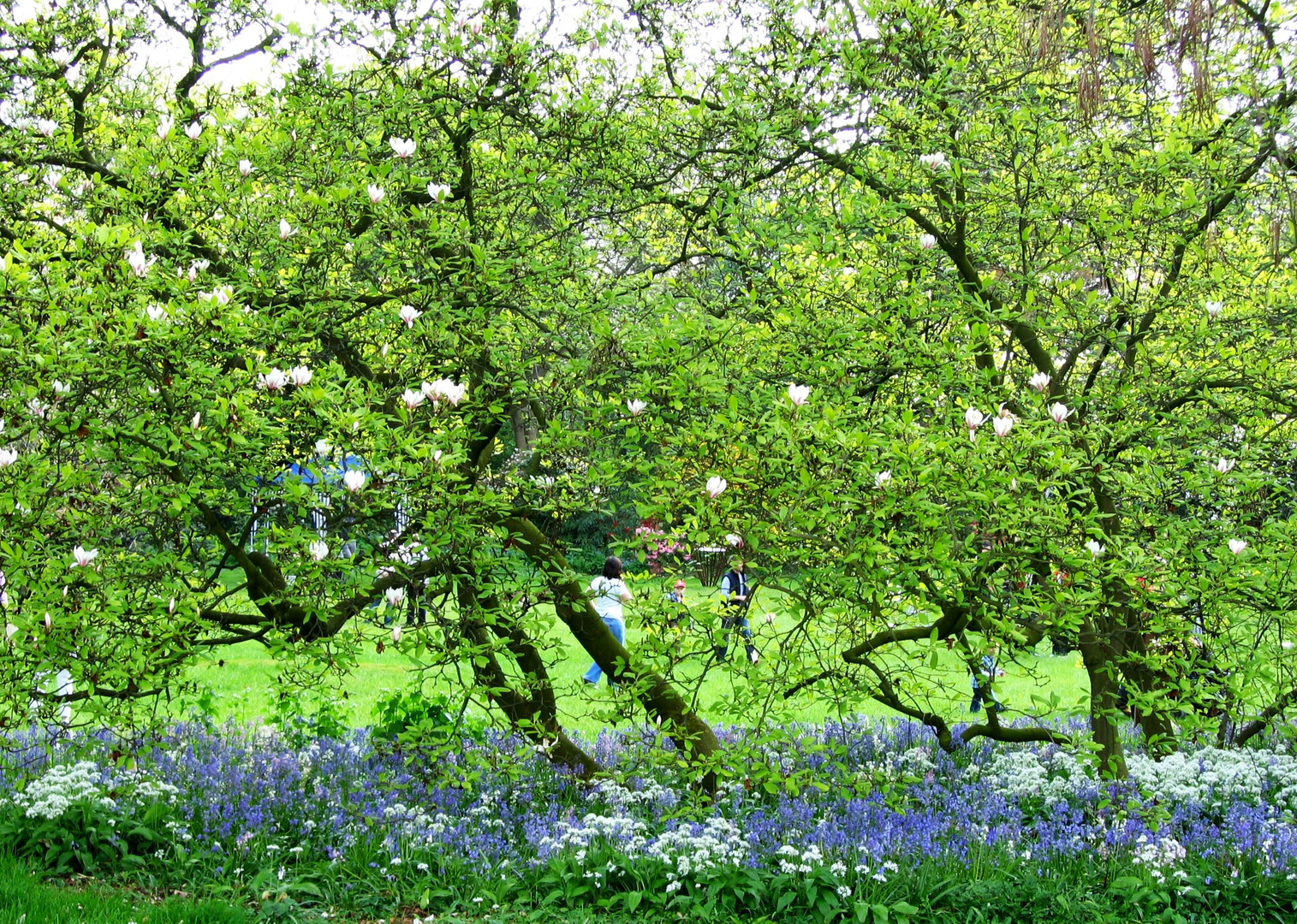 Frühling im Park