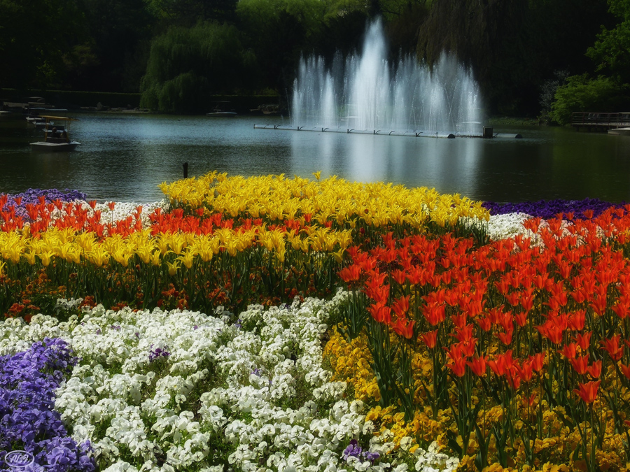 Frühling im Park...