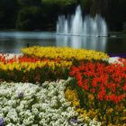 Frühling im Park...