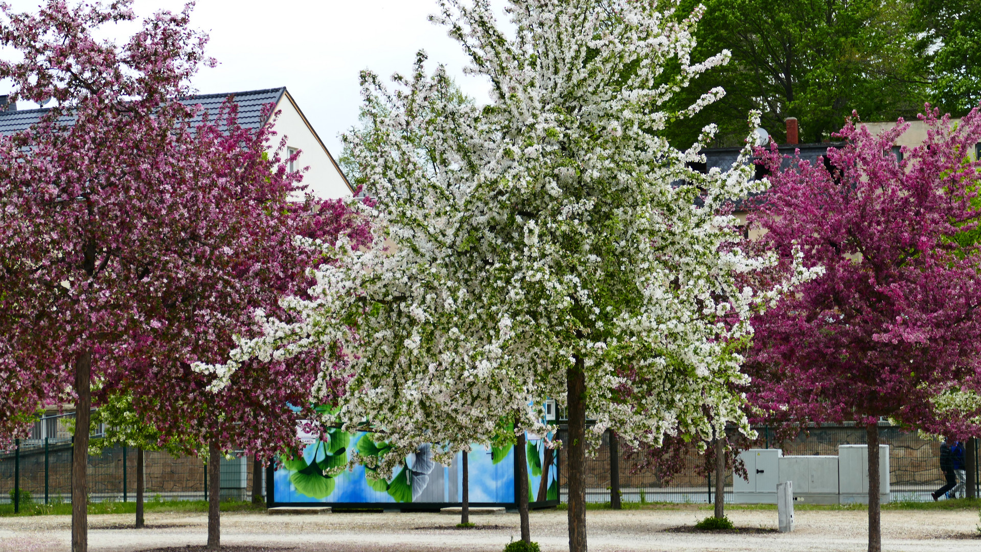 Frühling im Park der Generationen in Reichenbach/V.