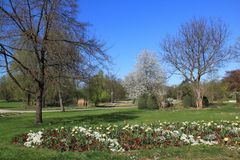Frühling im Park