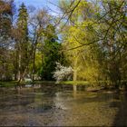 FRÜHLING IM PARK