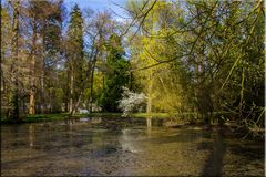 FRÜHLING IM PARK