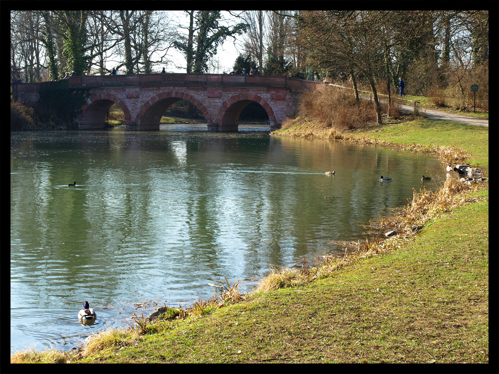 Frühling im Park Schönbusch II