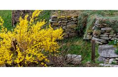 Frühling im Pfarrhausgarten