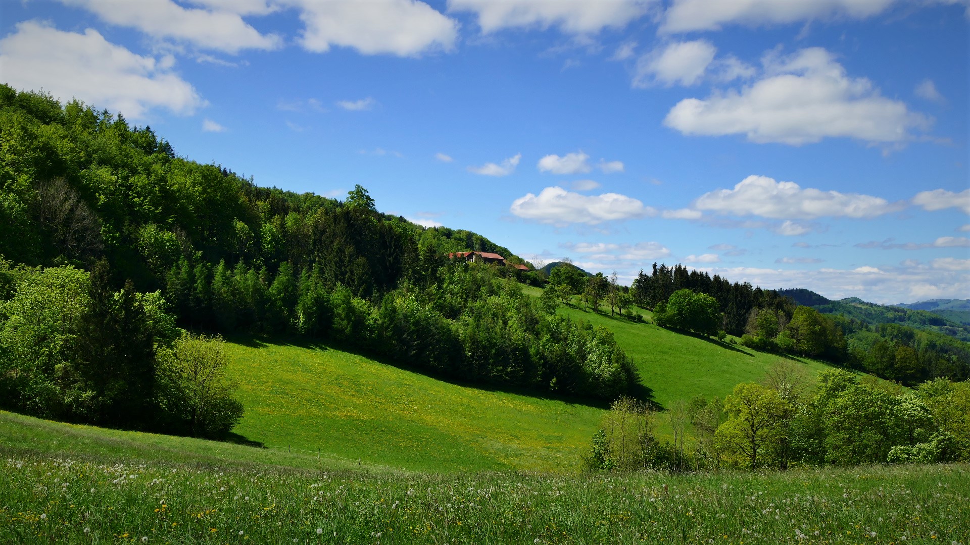 Frühling im Pielachtal