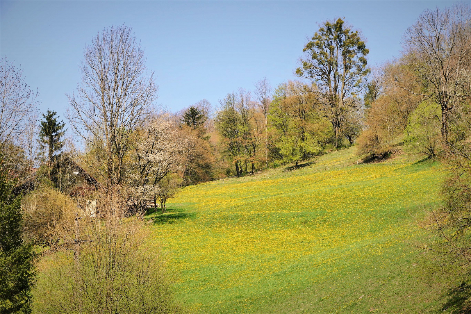 Frühling im Pielachtal