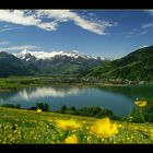 Frühling im Pinzgau