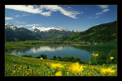 Frühling im Pinzgau