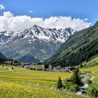 Frühling im Pitztal / Tirol (1)