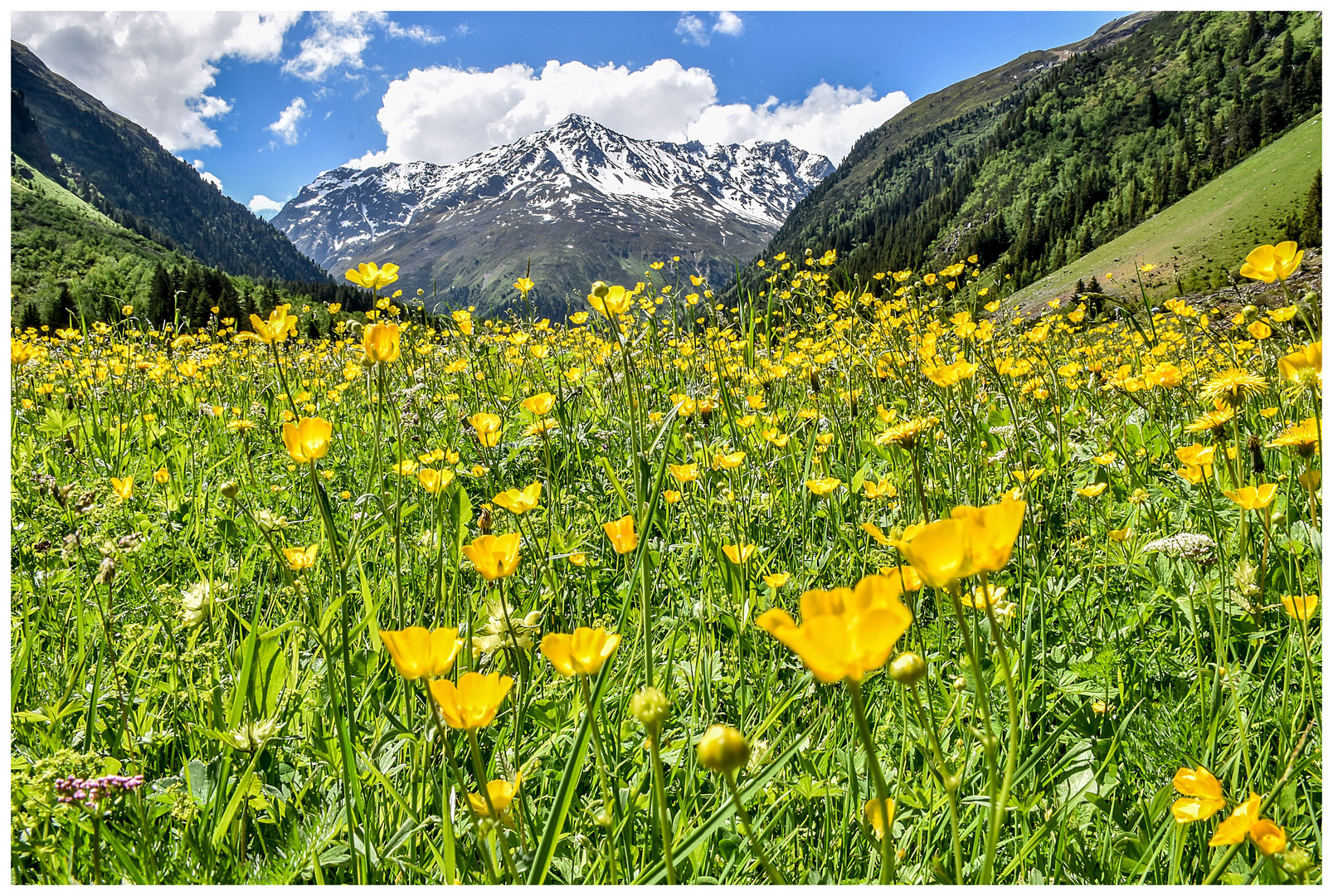 Frühling im Pitztal / Tirol (2)