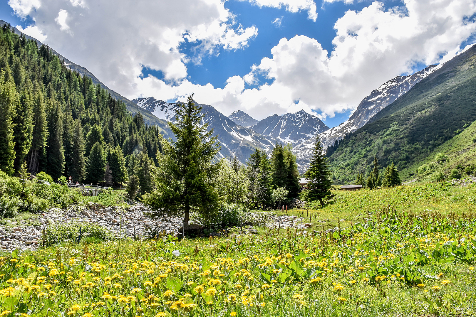 Frühling im Pitztal / Tirol (4)