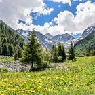 Frühling im Pitztal / Tirol (4)