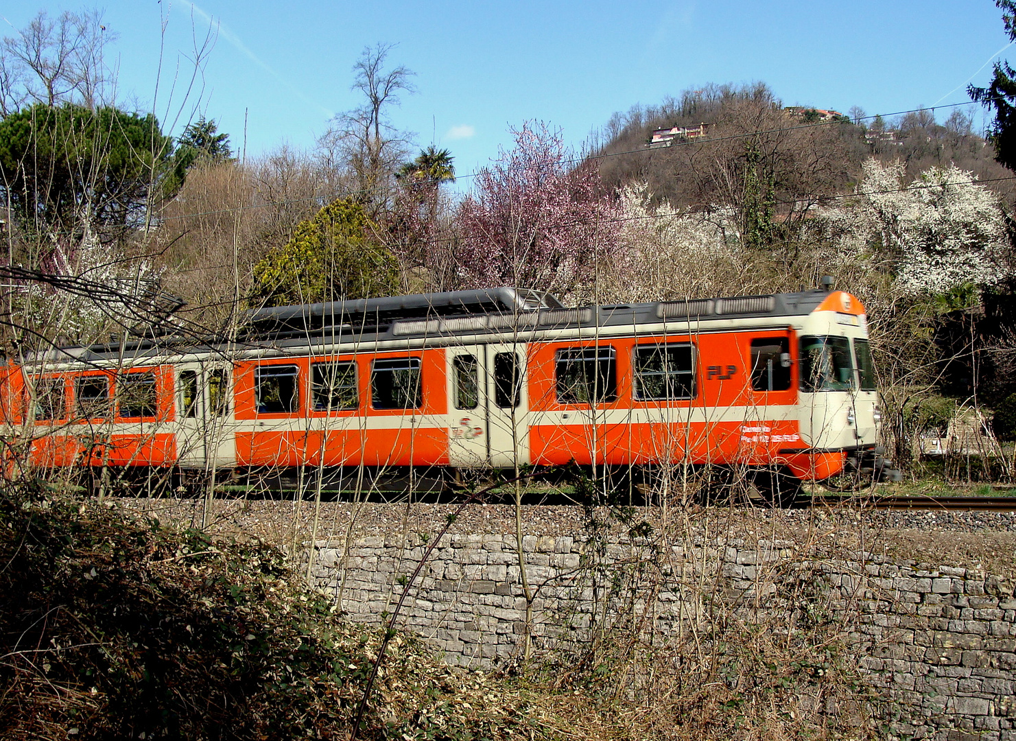 Frühling im / Primavera en / Printemps au = Tessin...01