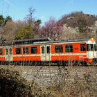 Frühling im / Primavera en / Printemps au = Tessin...01