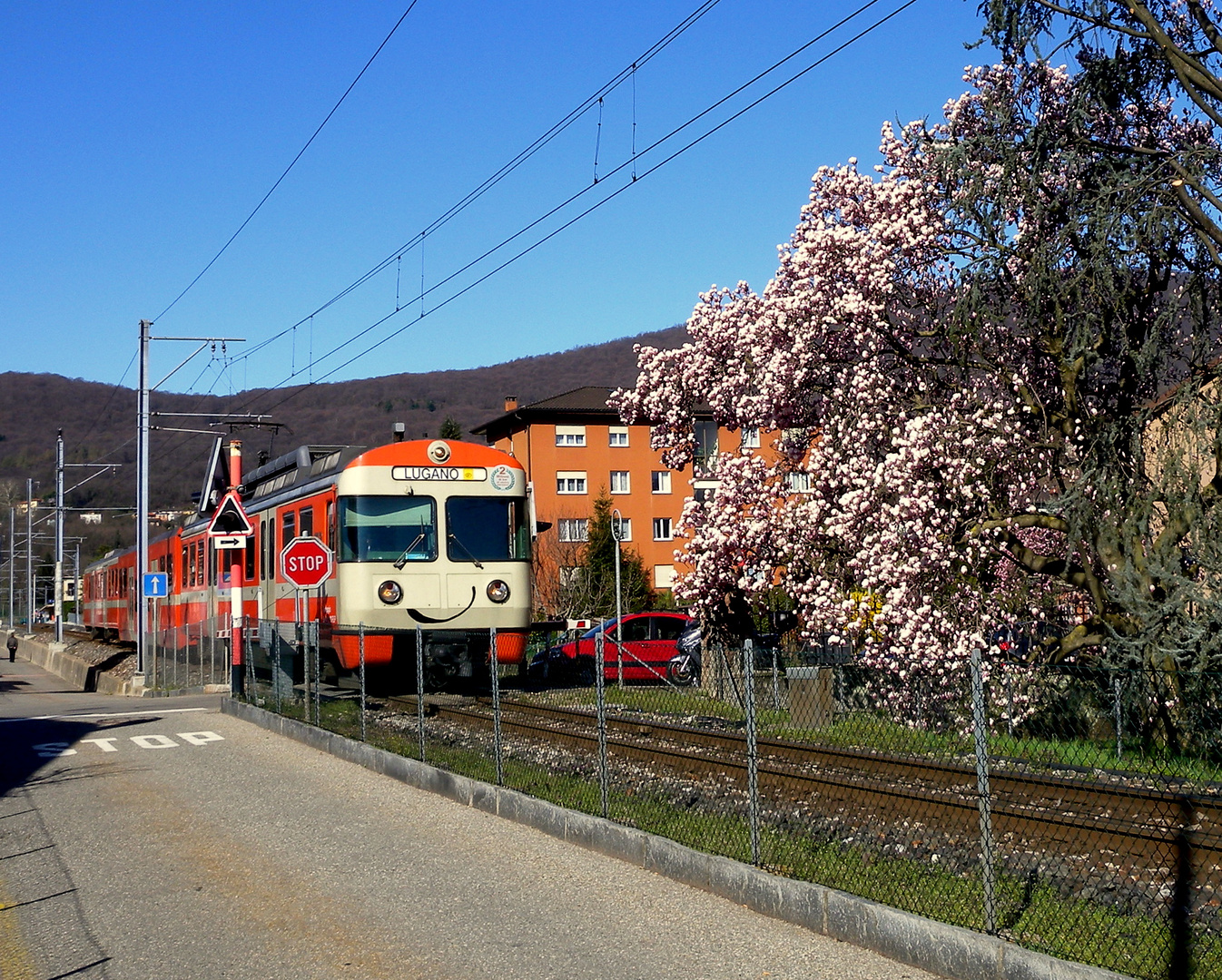 Frühling im / Primavera en / Printemps au = Tessin...02