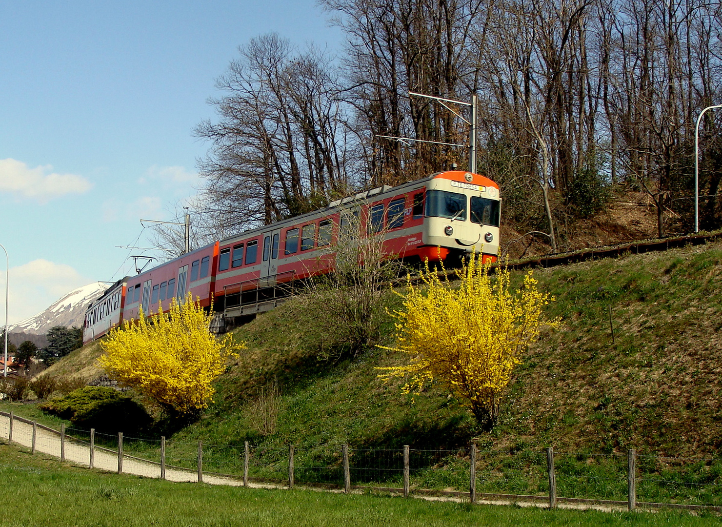 Frühling im / Primavera en / Printemps au = Tessin...03