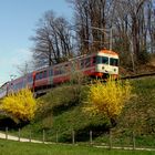 Frühling im / Primavera en / Printemps au = Tessin...03