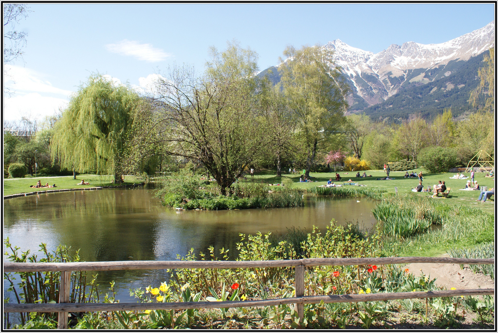 Frühling im Rappoldipark 2