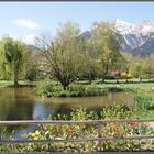 Frühling im Rappoldipark 2