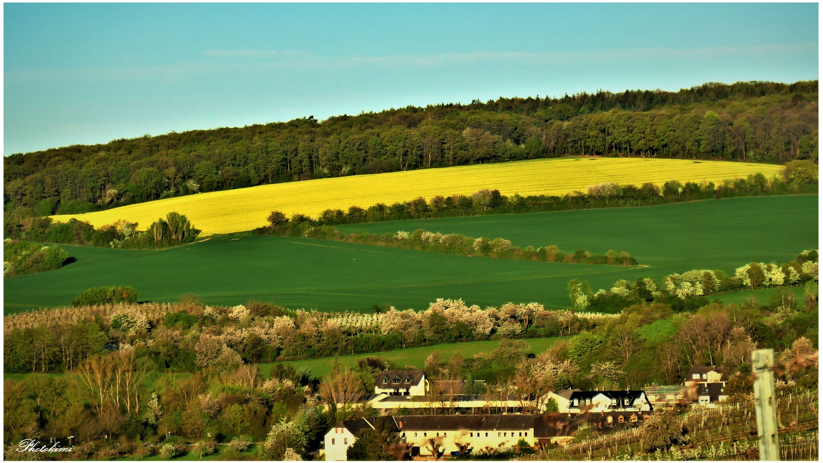 Frühling im Rheingau