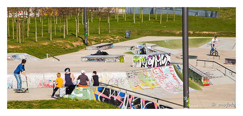 Frühling im Rheinpark